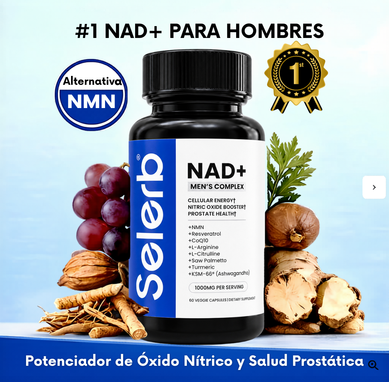Selerb NAD+ | Optimiza tu energía celular 🔋
